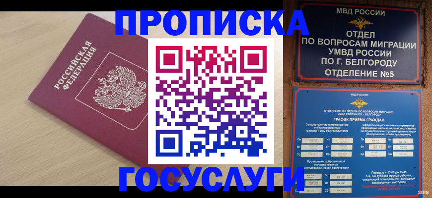 прописка законно в Прохладном